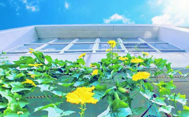 2025年春より東京農業大学第一高等学校中等部・高等部が高校募集停止: 完全中高一貫校への転換と新たな学習環境の展望の画像